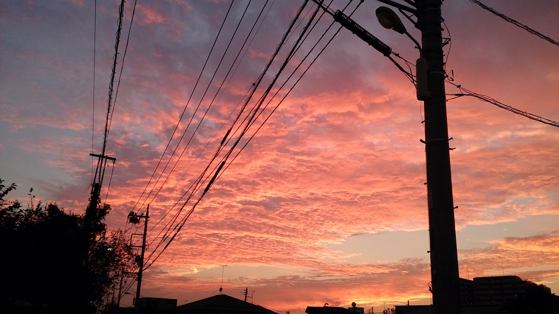 夕暮れ